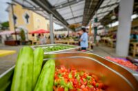 Zalogajček na placu Siniša Sović (7) Zalogajček na placu Siniša Sović (7)