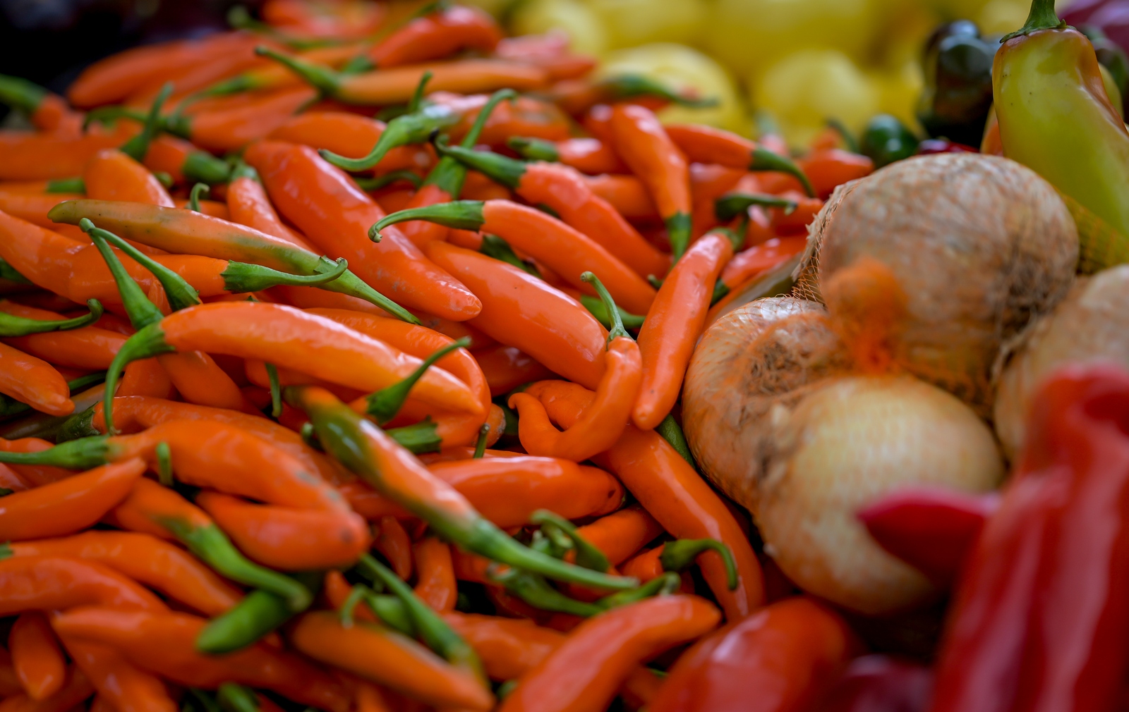 Zalogajček na placu Siniša Sović (9) Zalogajček na placu Siniša Sović (9)