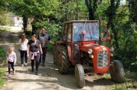 Zelena čistka za čiste Toplice (4)