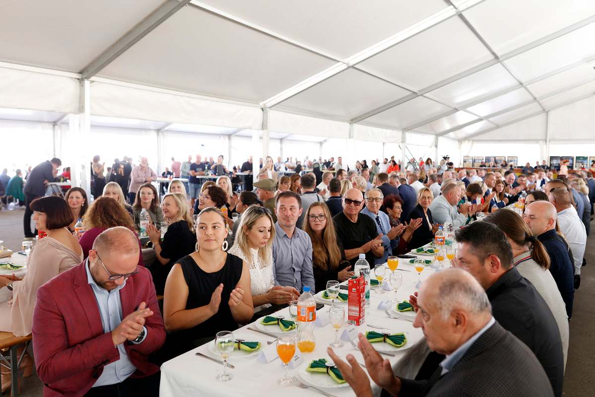 Zeljarijada (8) Zeljarijada (8)