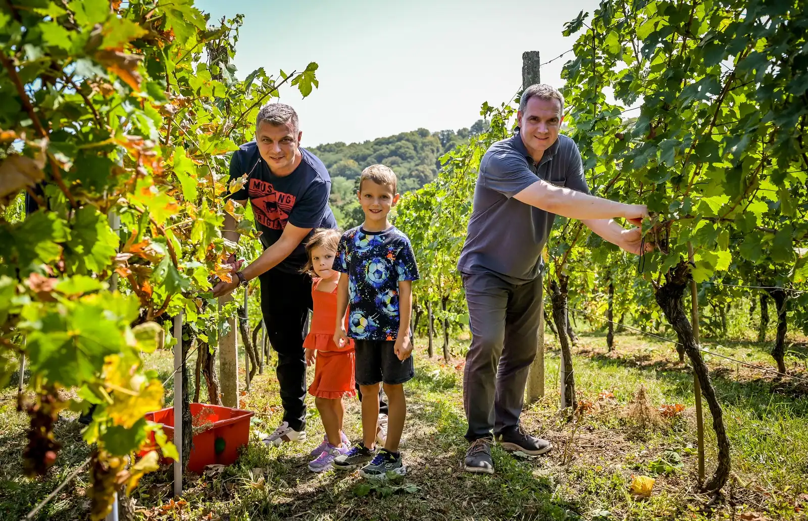 Zupanijska_berba (33)