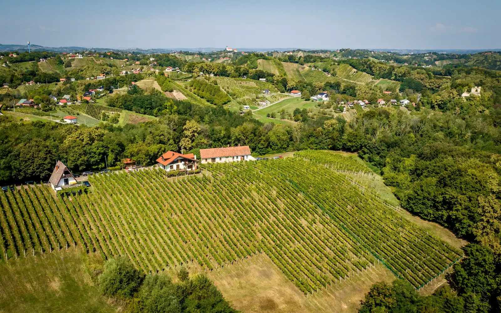 Zupanijska_berba (38)