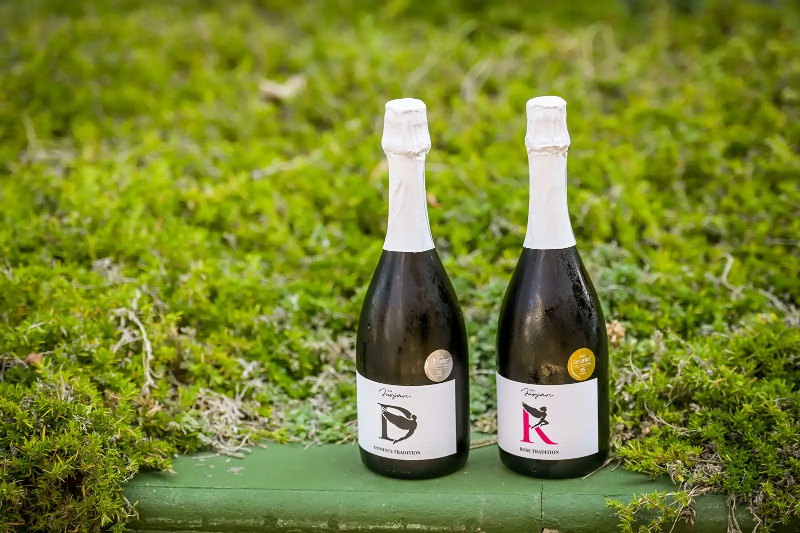 Zupanijska_berba (43)