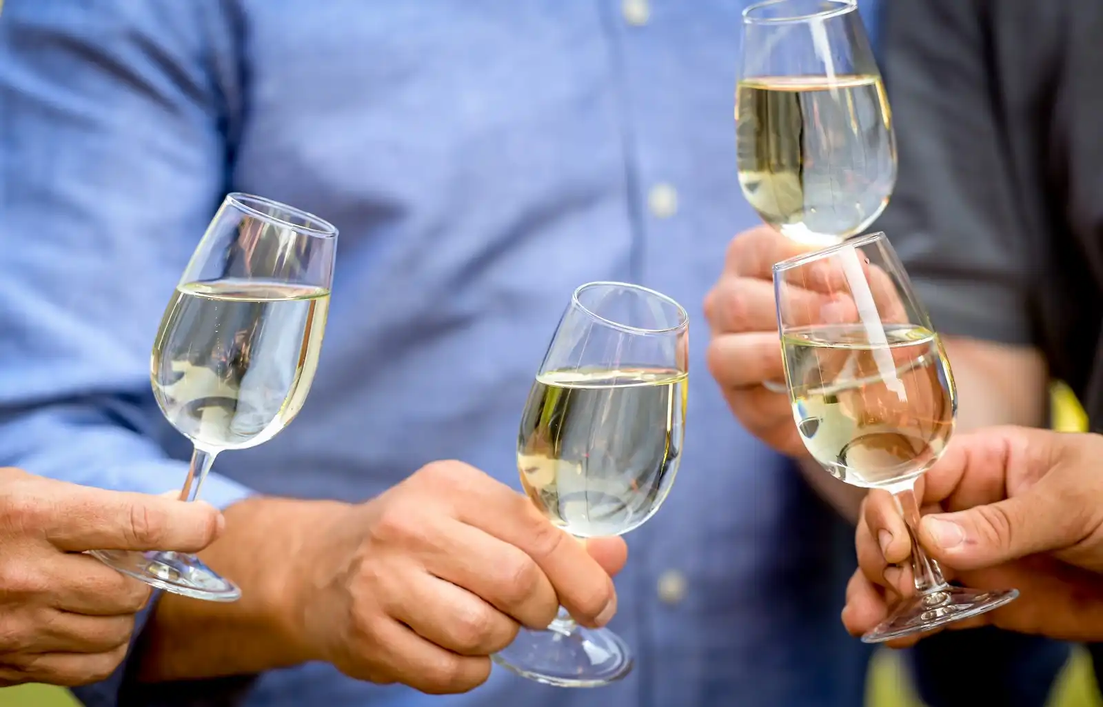 Zupanijska_berba (44)