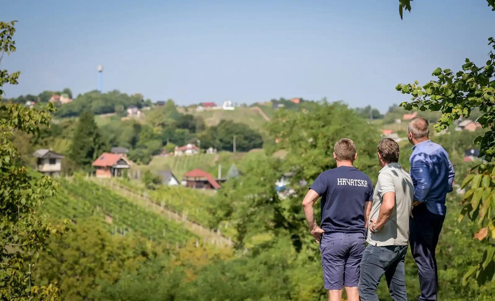 Zupanijska_berba (9)