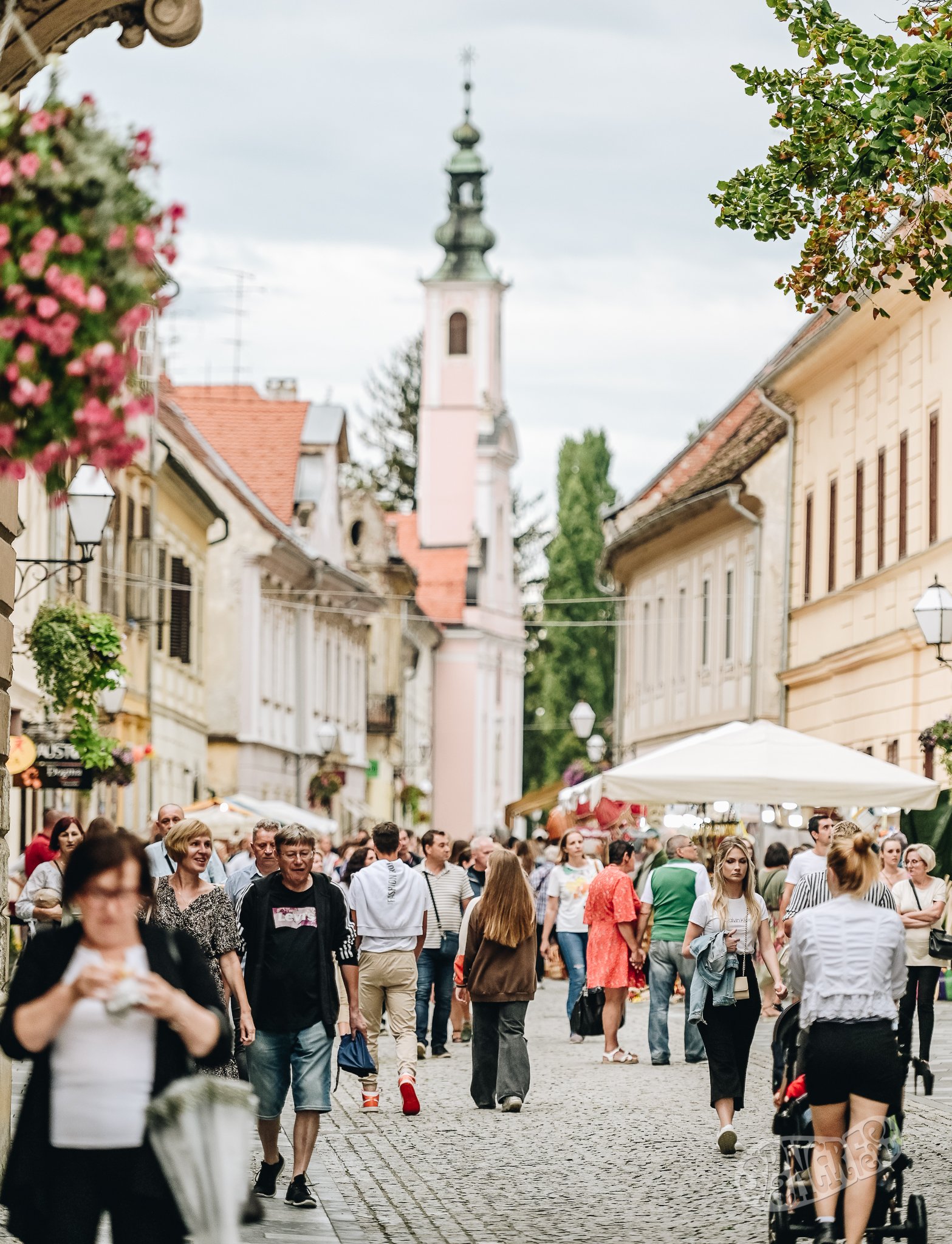 Image 5452732 (auto)