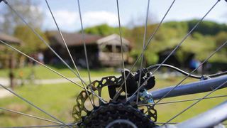 beretinecbbkasinovastaza2320633