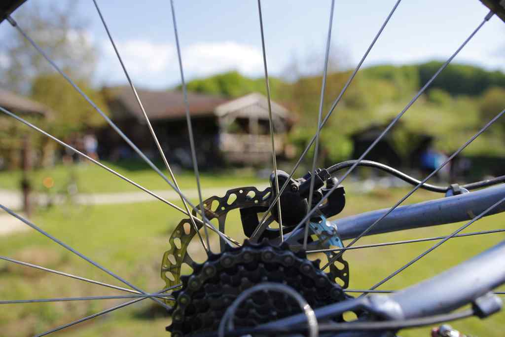 beretinecbbkasinovastaza2320633