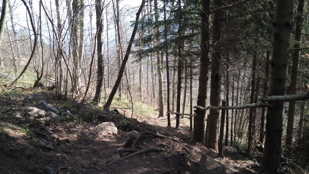 20150411091925969203