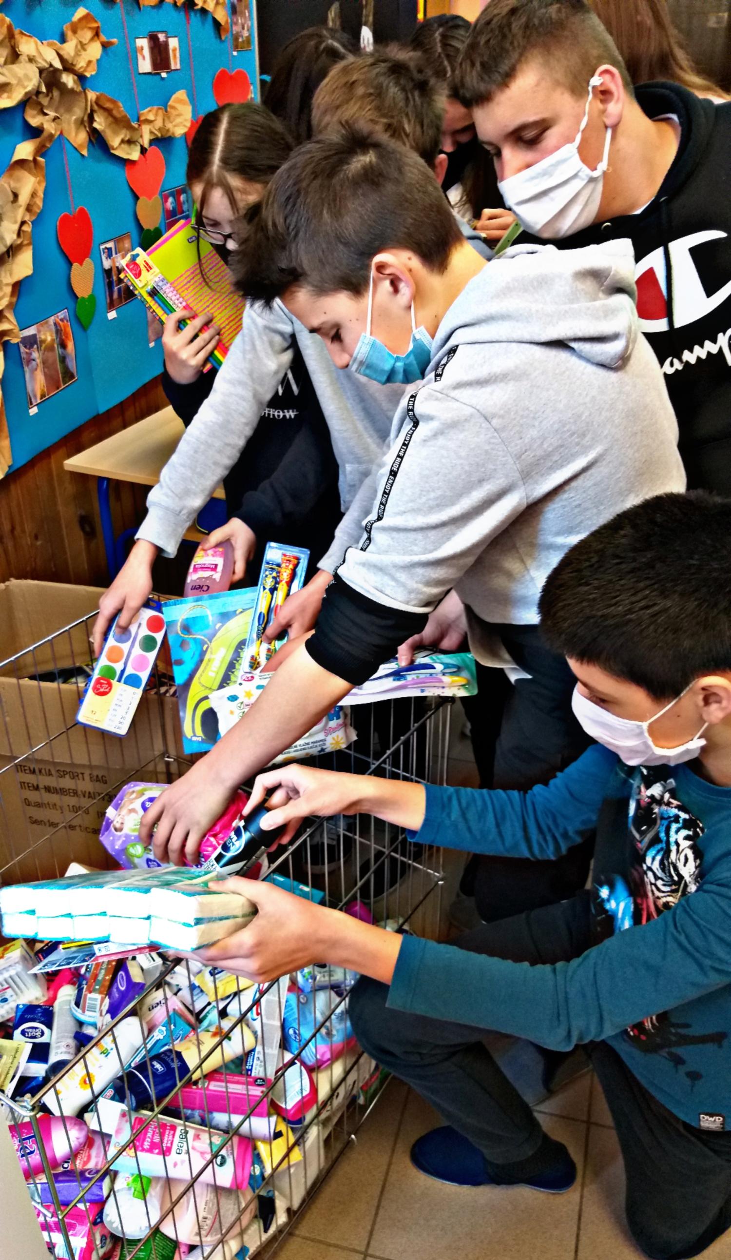 Image 4842020 (auto)