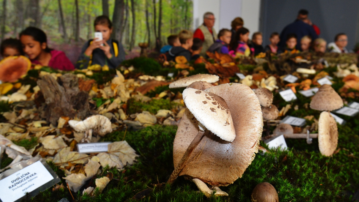 23. Sajam priroda, lov, ribolov, turizam