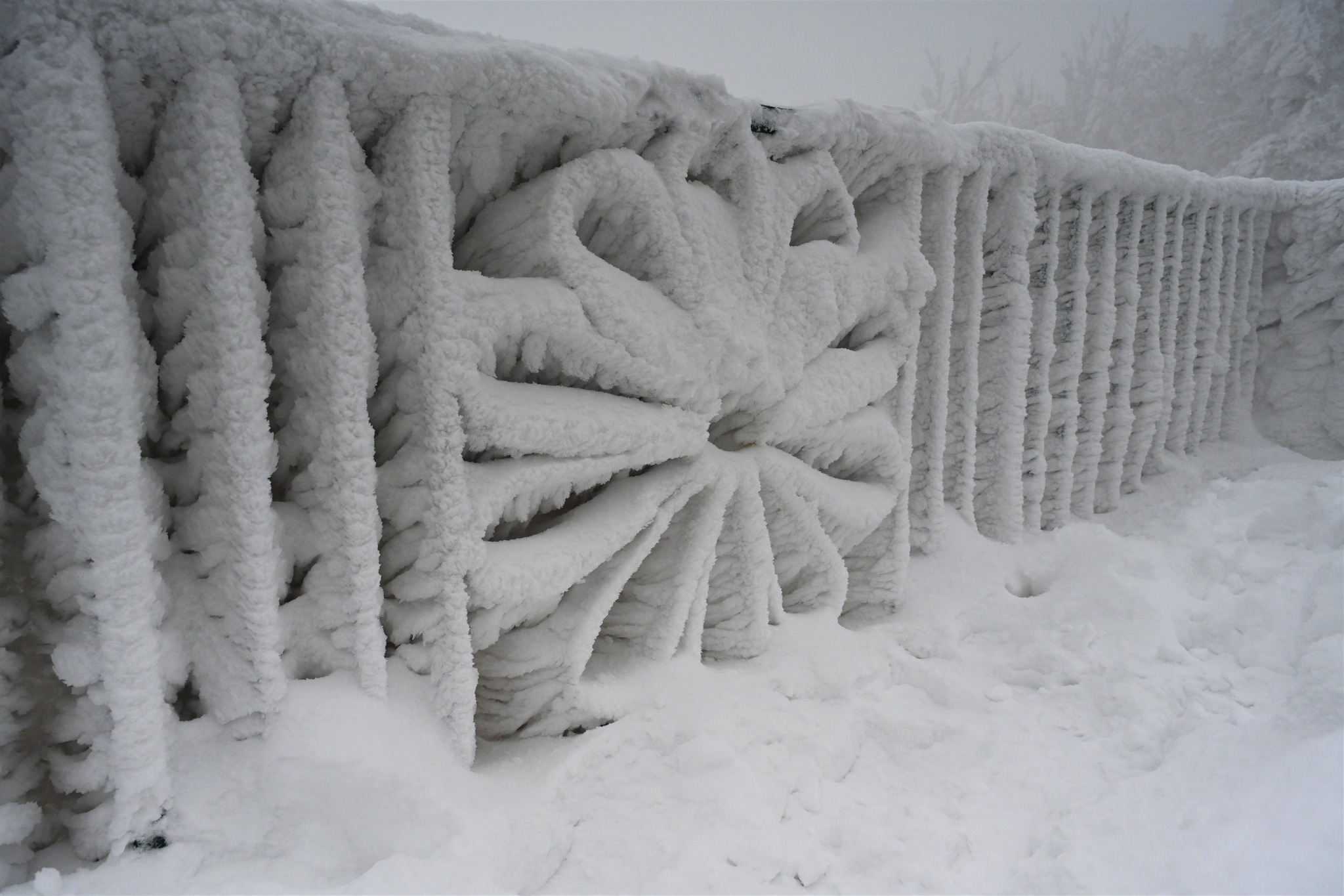 Ivanščica snijeg zima prognoza planina šuma