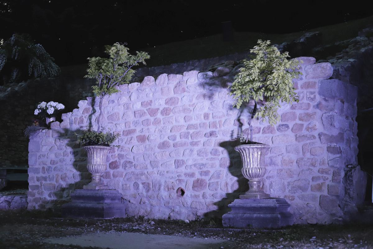 Image 5721055 (auto)