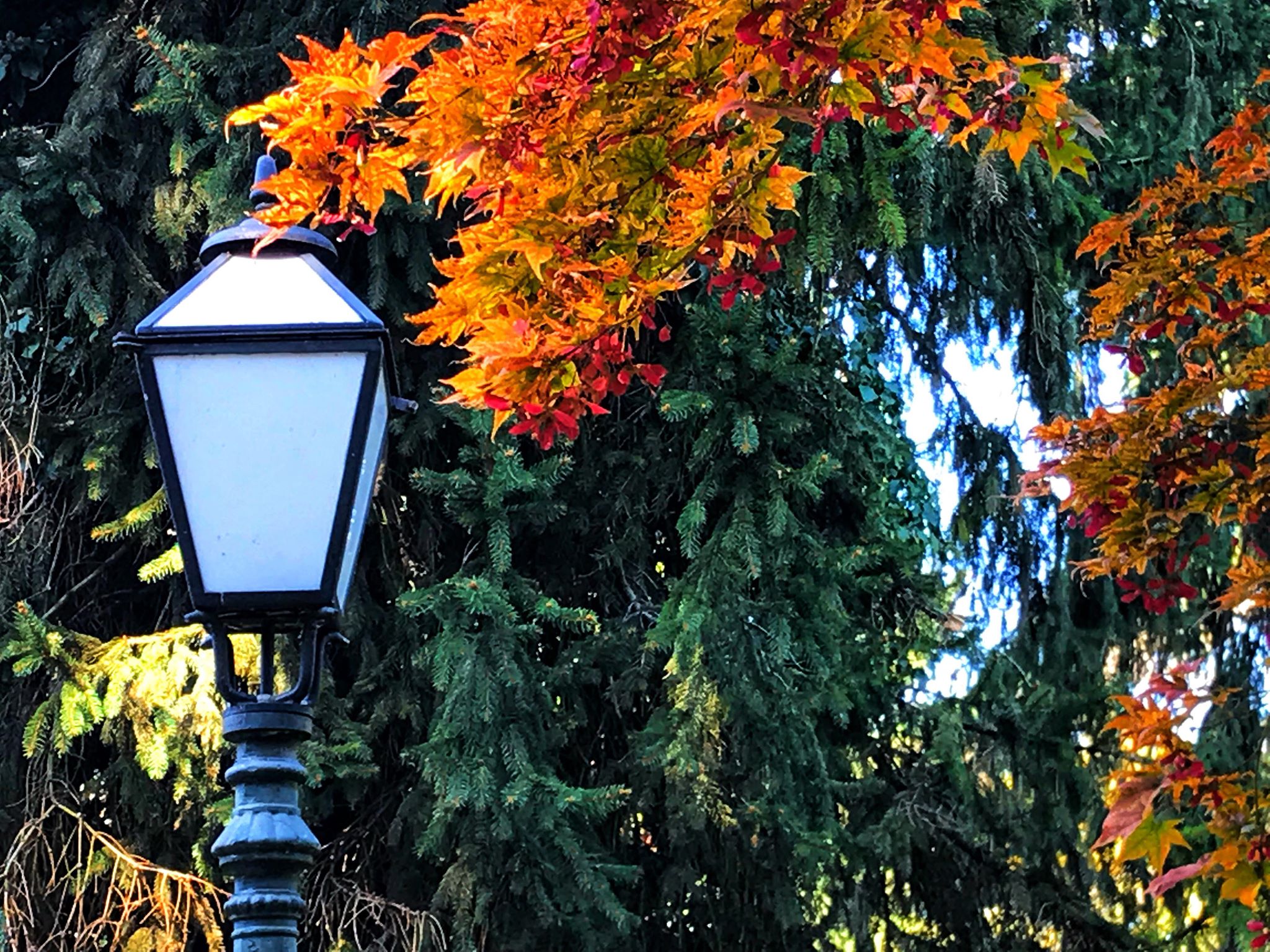 Jesen u varaždinskom parku