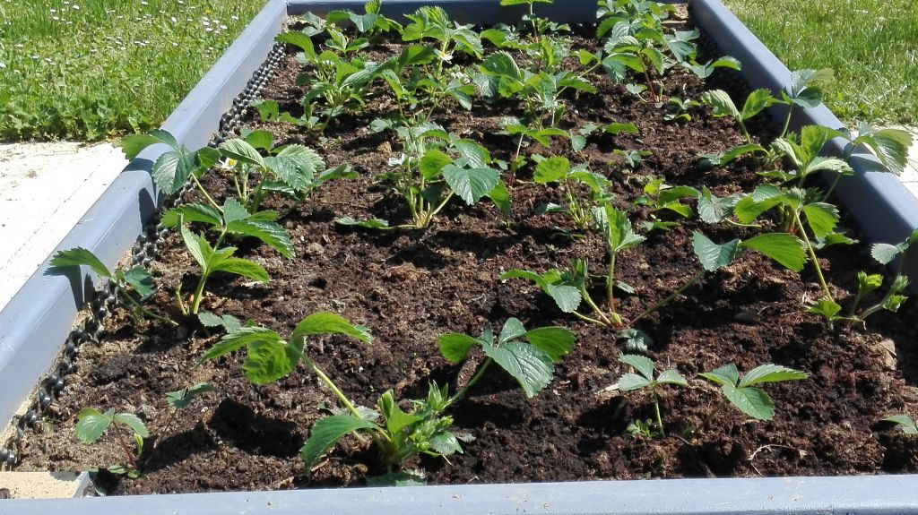 img20180425123338692497