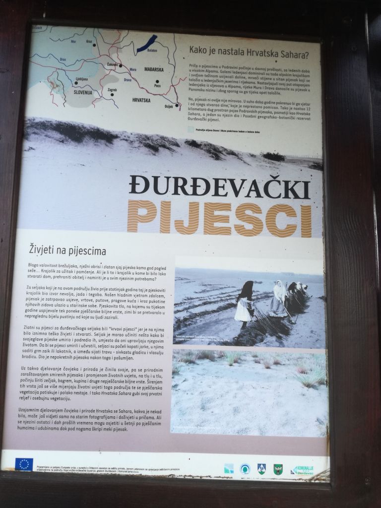 img20180508162238706634