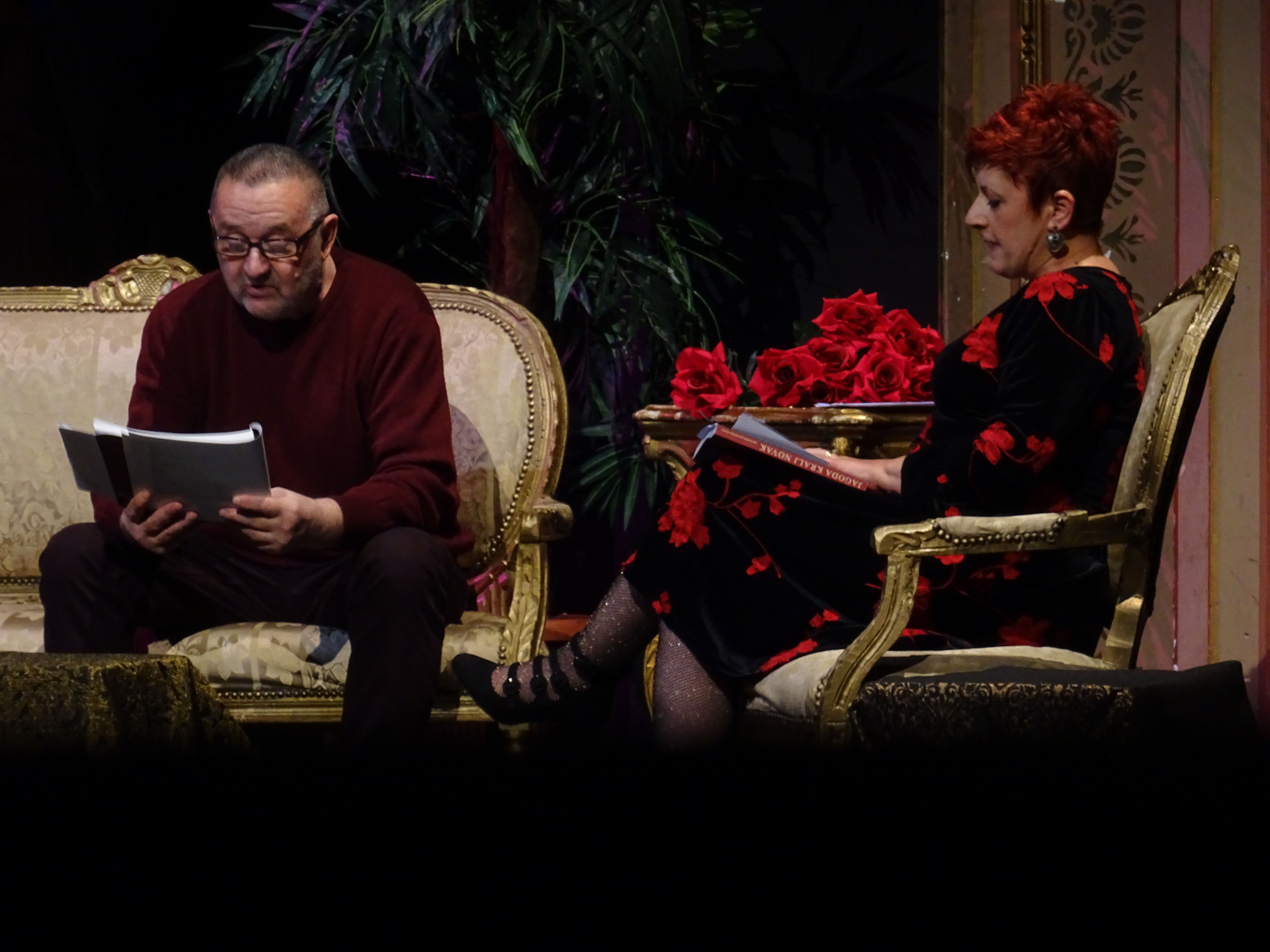 Jagoda Kralj Novak predstavljanje monografije 27.12.2019.