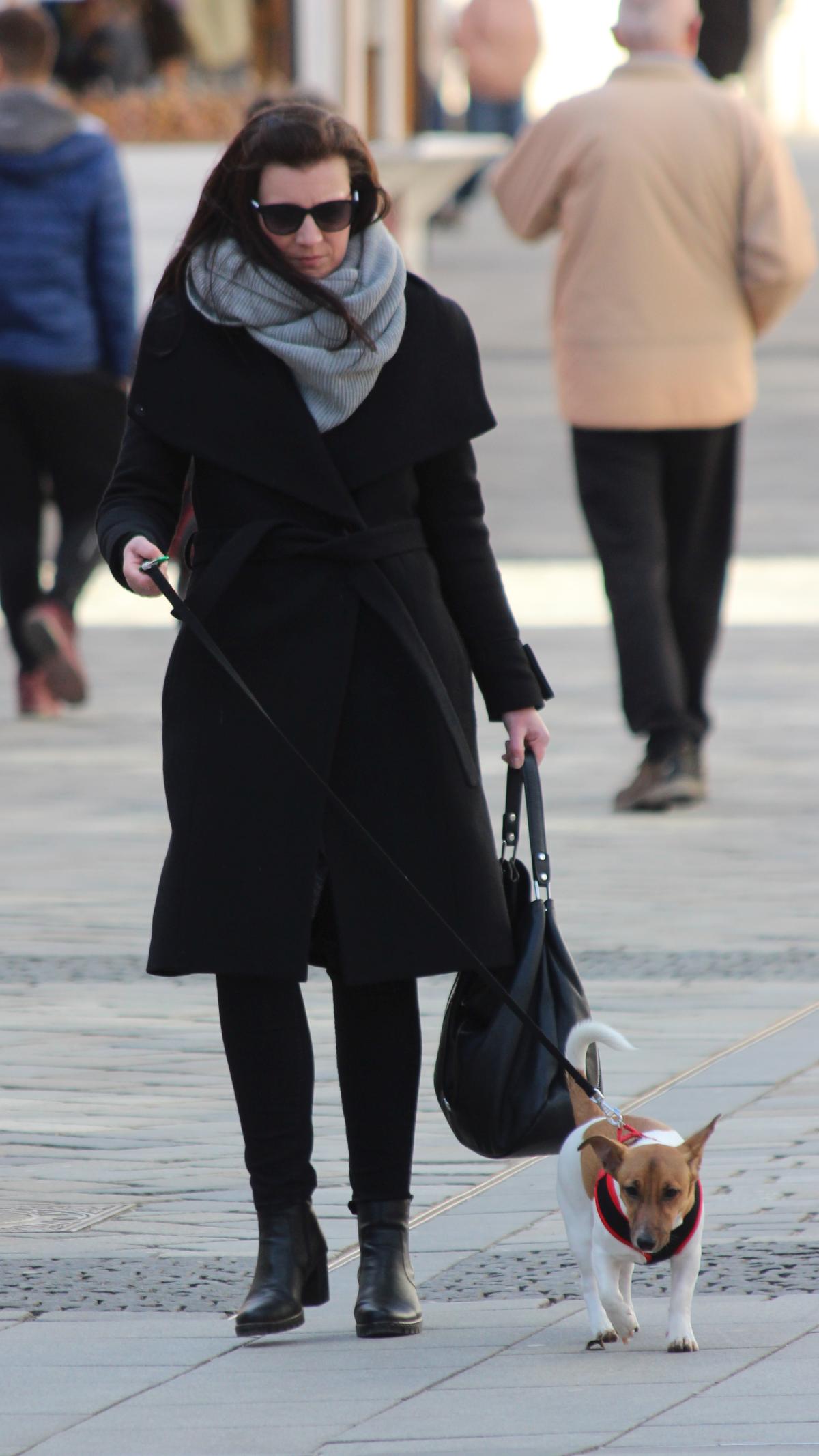 Image 5235704 (auto)