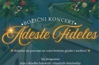 a3e47c6a-b739-4909-84e1-18ee7e38a13c