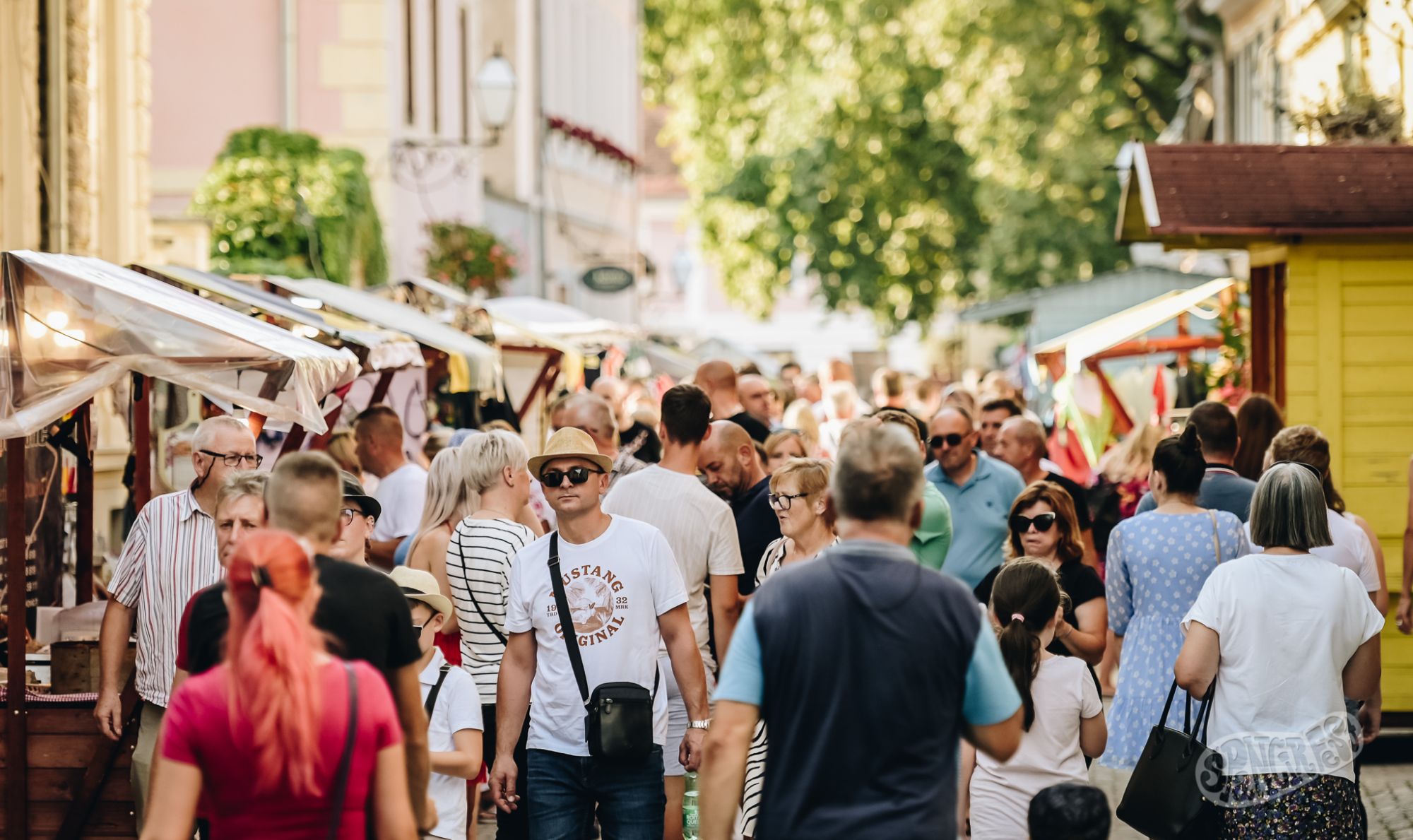 Image 5808867 (auto)