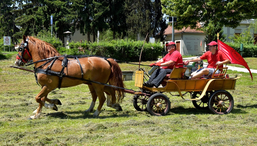 Image 5377162 (auto)