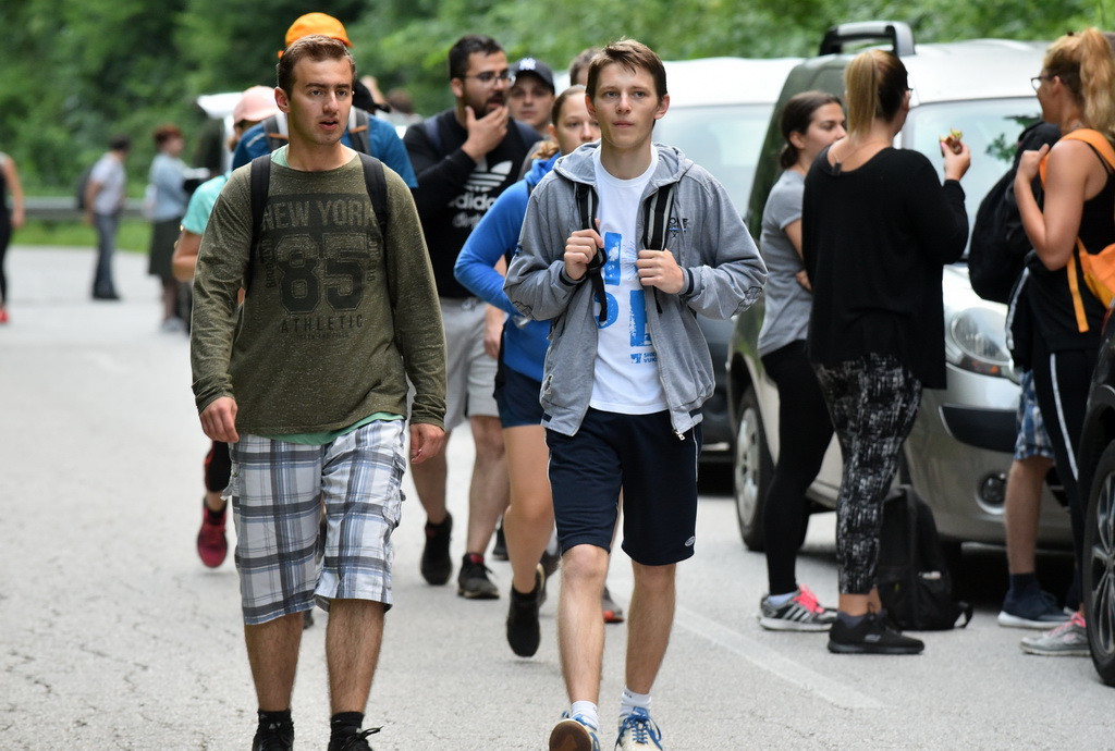 Image 4542374 (auto)