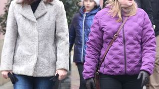 Image 5556413 (auto)