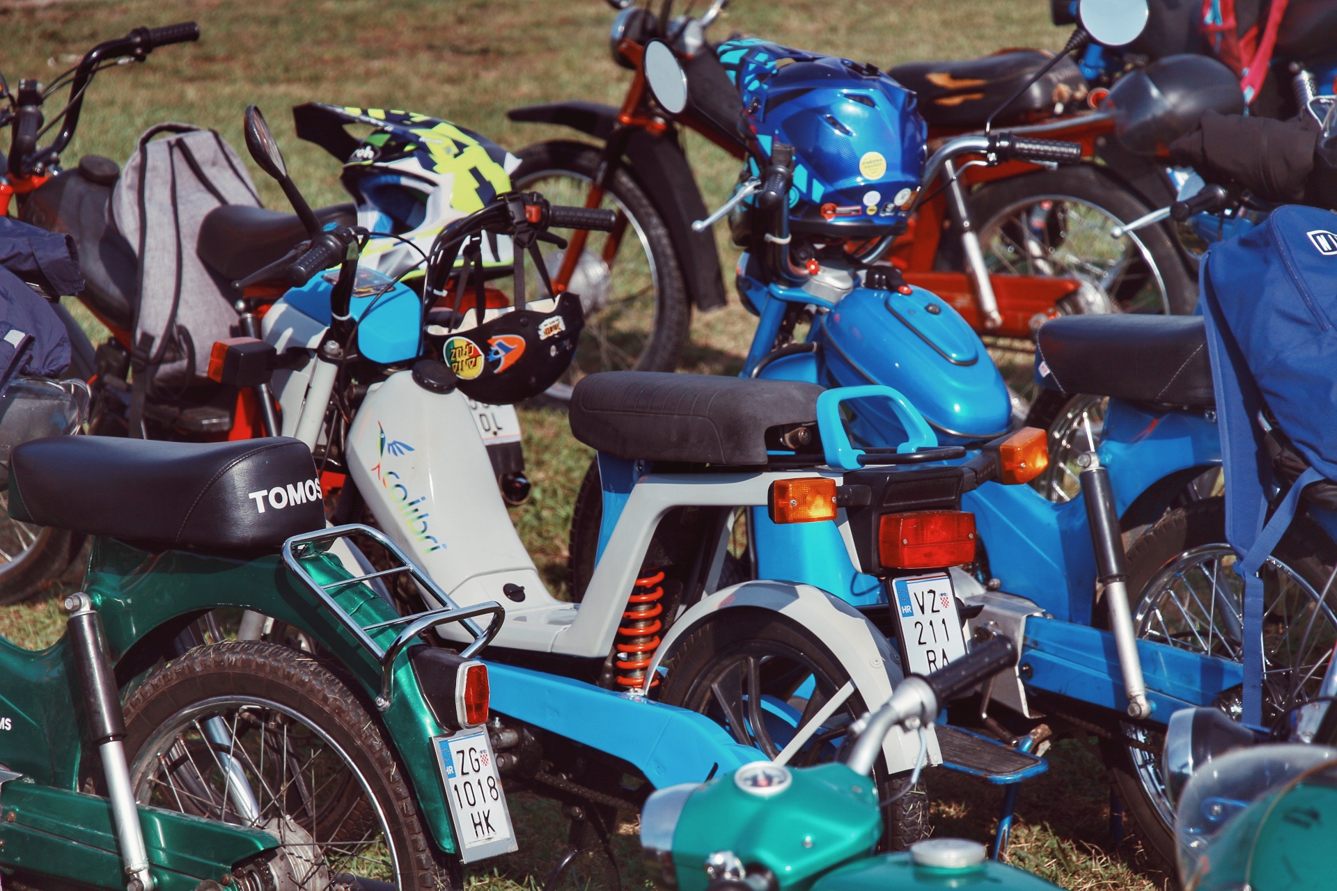 Image 5825459 (auto)