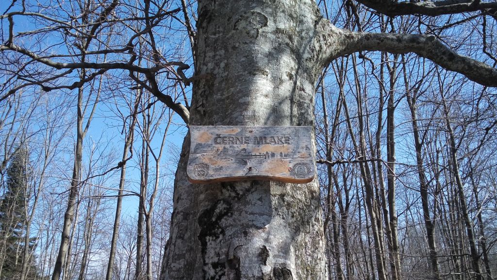 20150411104814400429