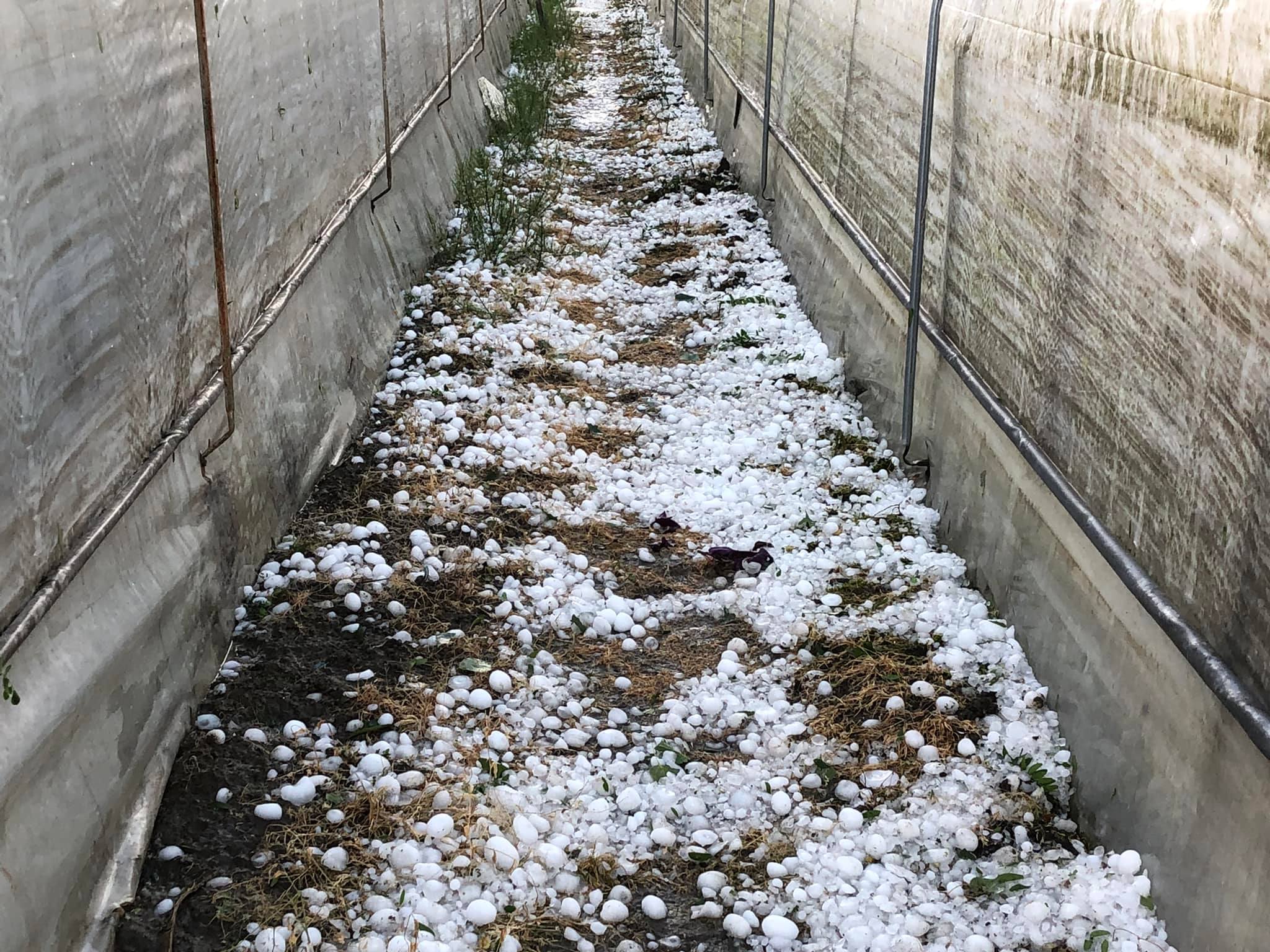 Tuča Veliki Bukovec