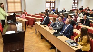 Image 5689677 (auto)