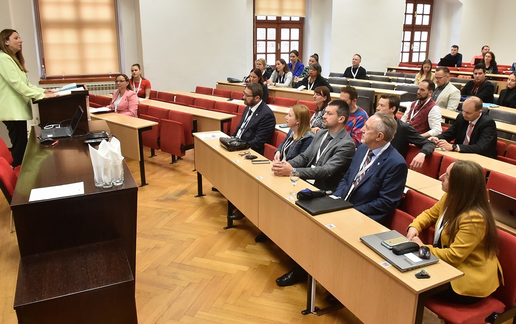 Image 5689677 (auto)