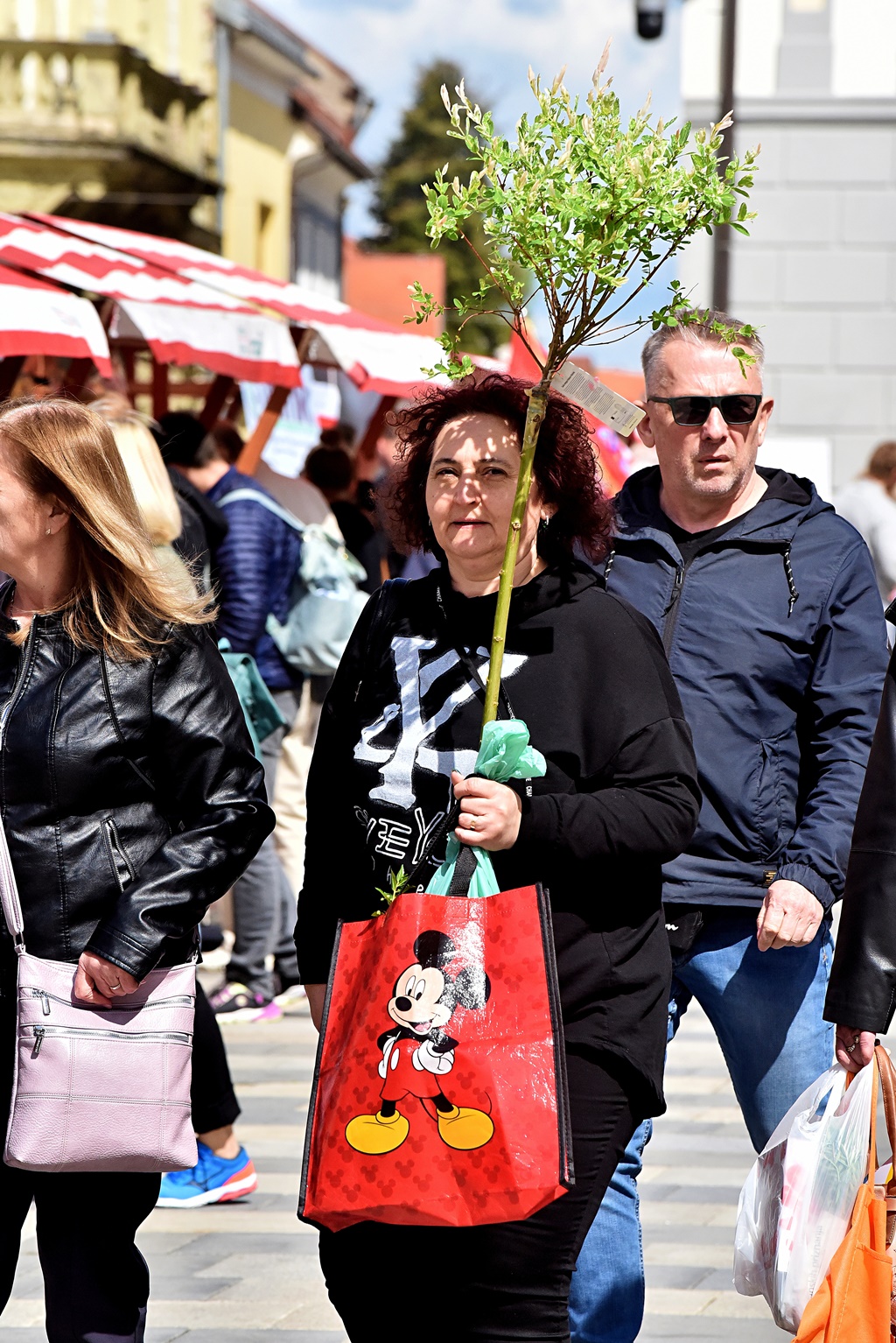 Image 6016951 (auto)