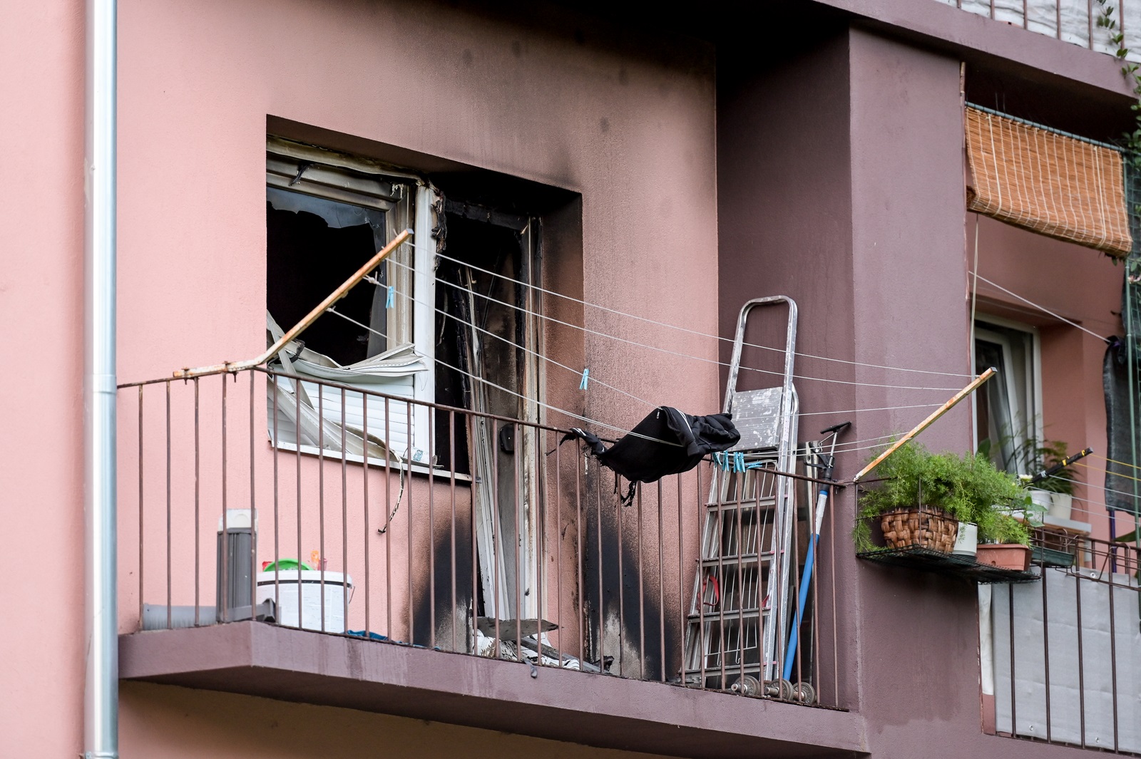 Image 5470616 (auto)