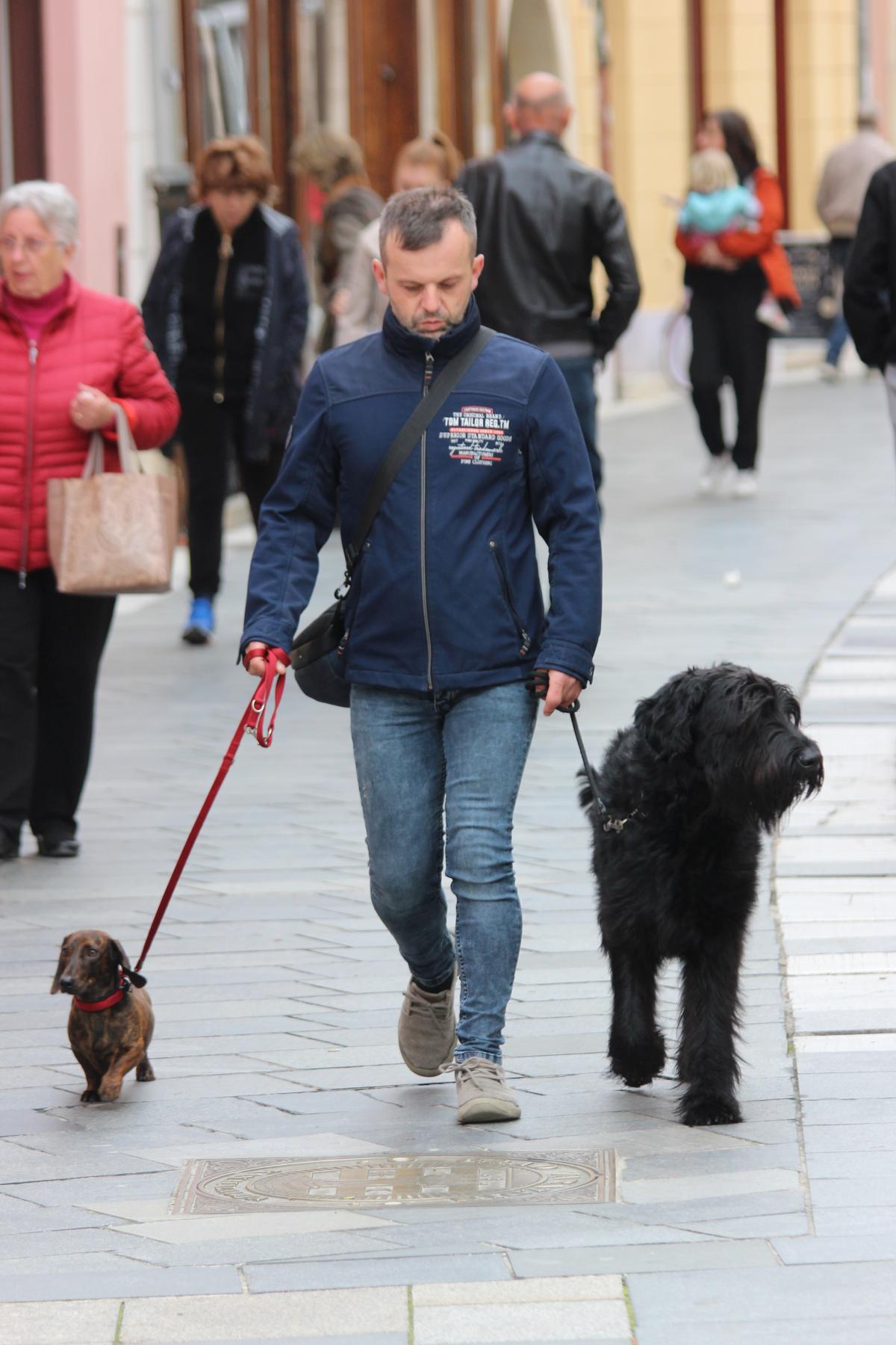 Image 5516058 (auto)