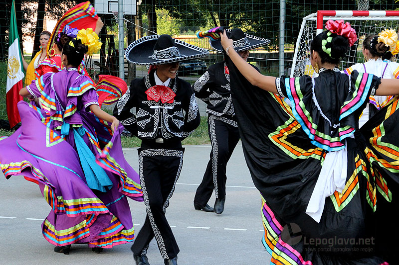 mekasikanciuvisnjici24925079