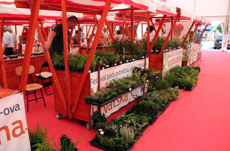 1351088111526928381145733355239