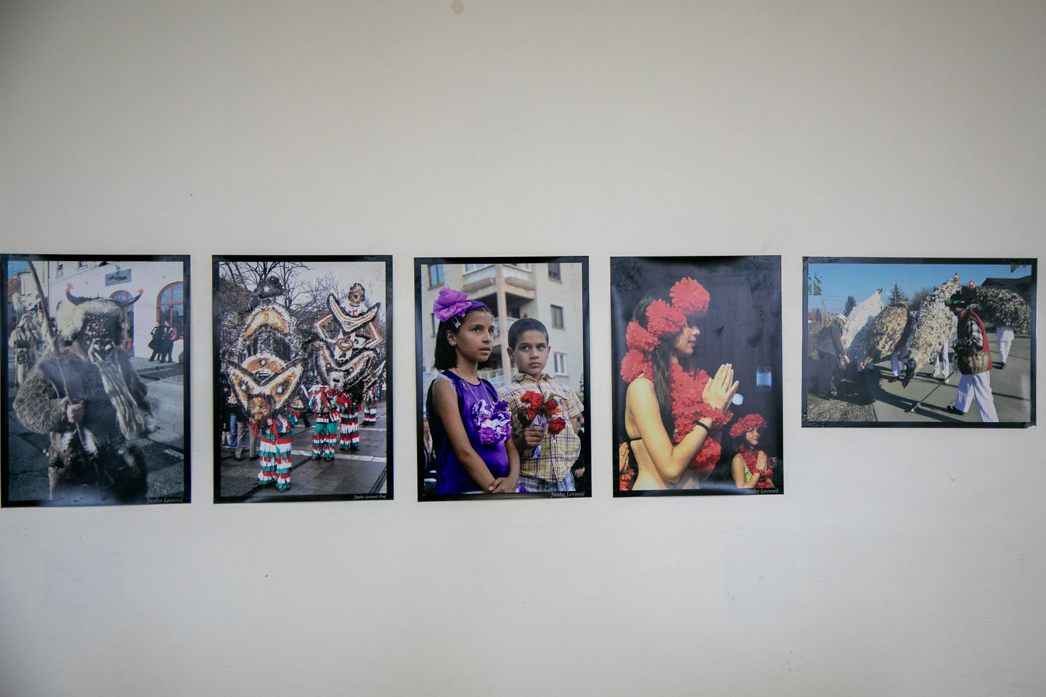 Image 5966071 (auto)