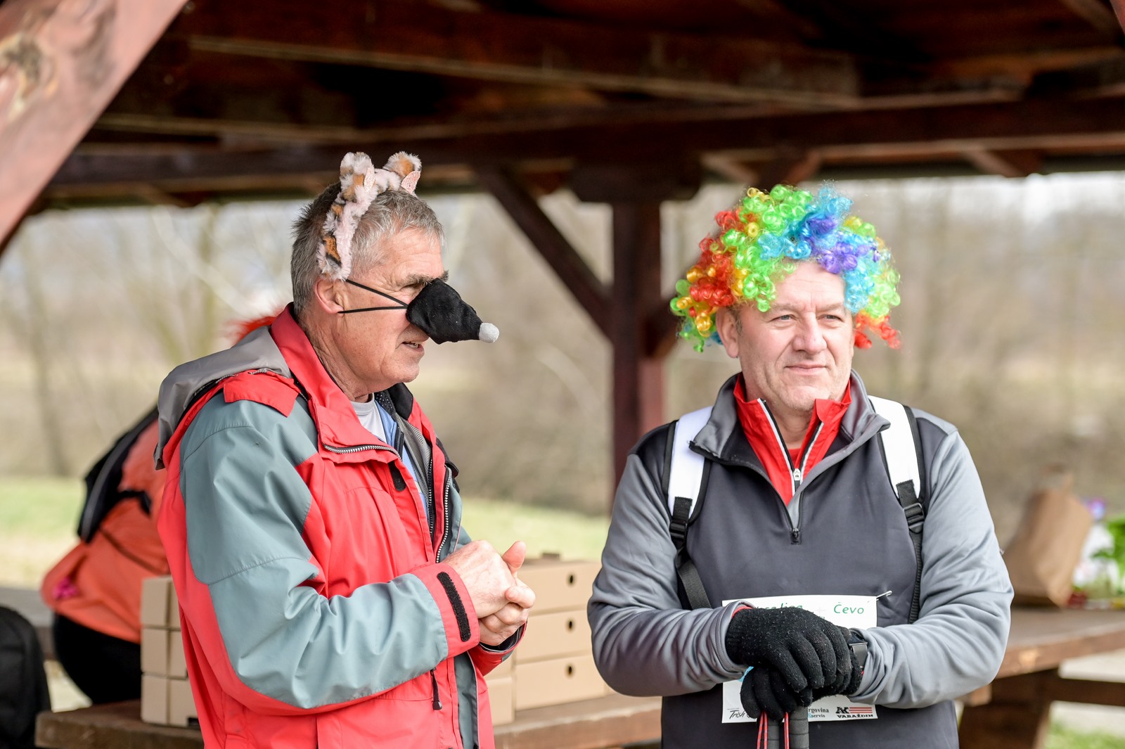 Image 5606353 (auto)