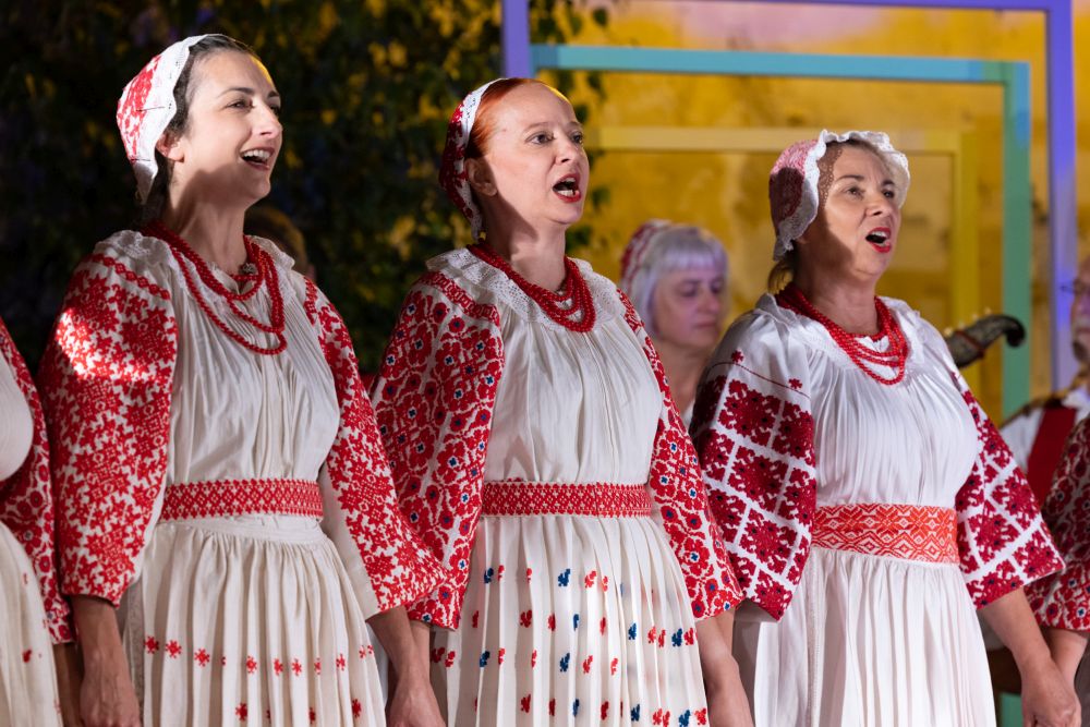 Image 5834279 (auto)