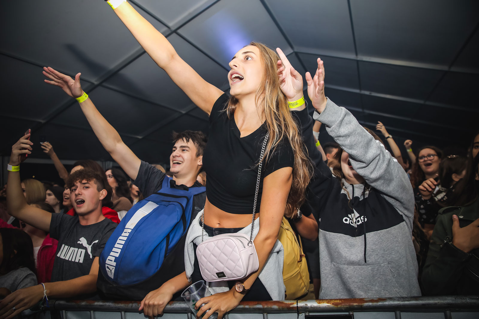 Image 5052164 (auto)