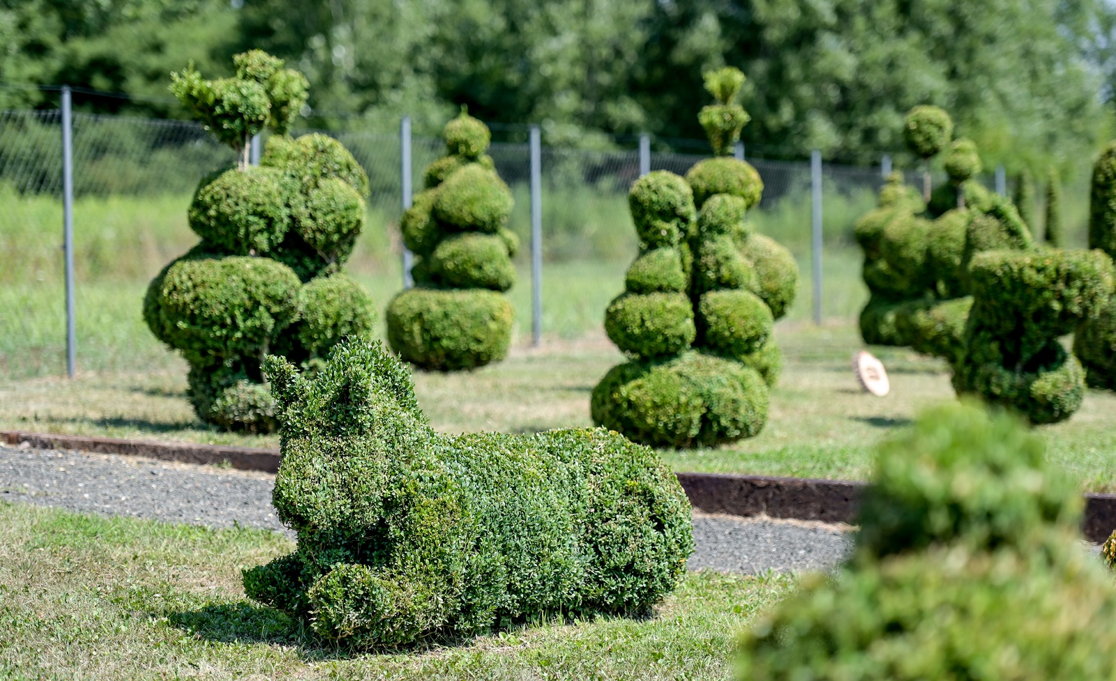 topiary