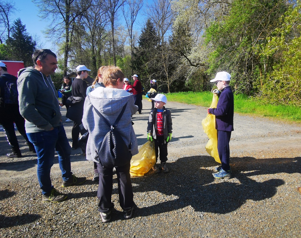 Image 5666857 (auto)