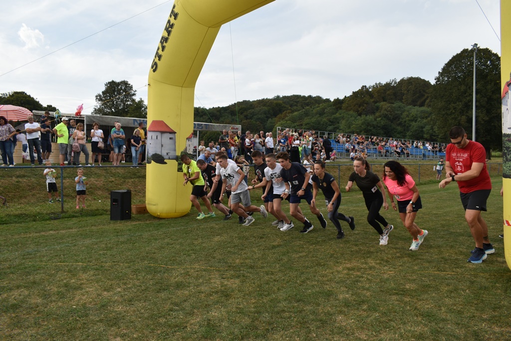 Image 5852613 (auto)