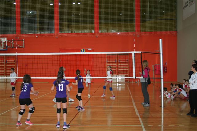 odbojkaturnir2kolo3650072