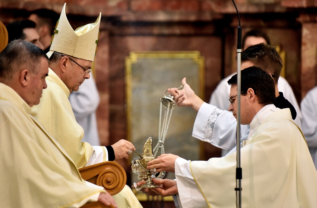 Image 5568801 (auto)