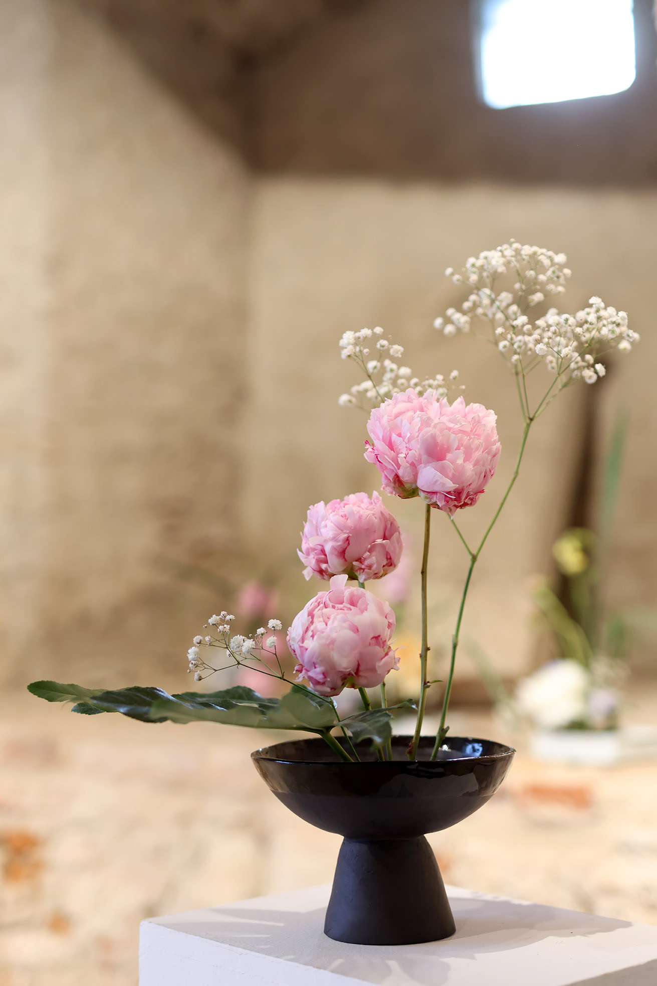 Image 5725393 (auto)