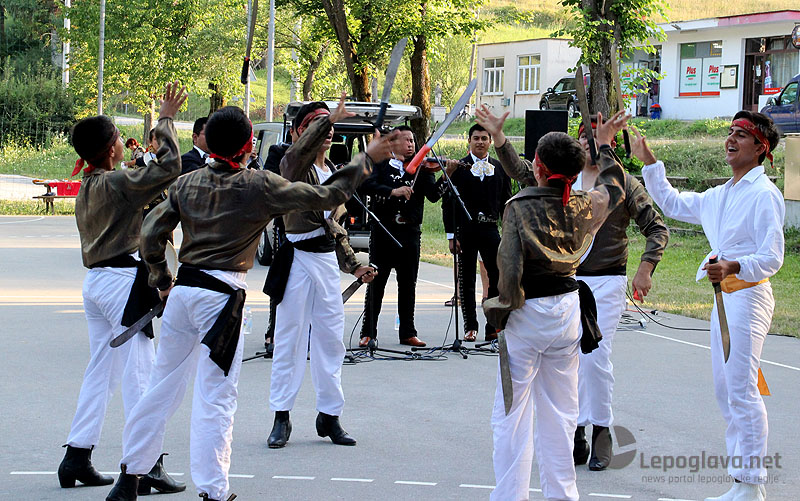 mekasikanciuvisnjici20758003