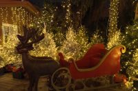 advent u varaždinu foto danijel mikolaj (12)