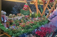 advent v marofu (1) advent v marofu (1)